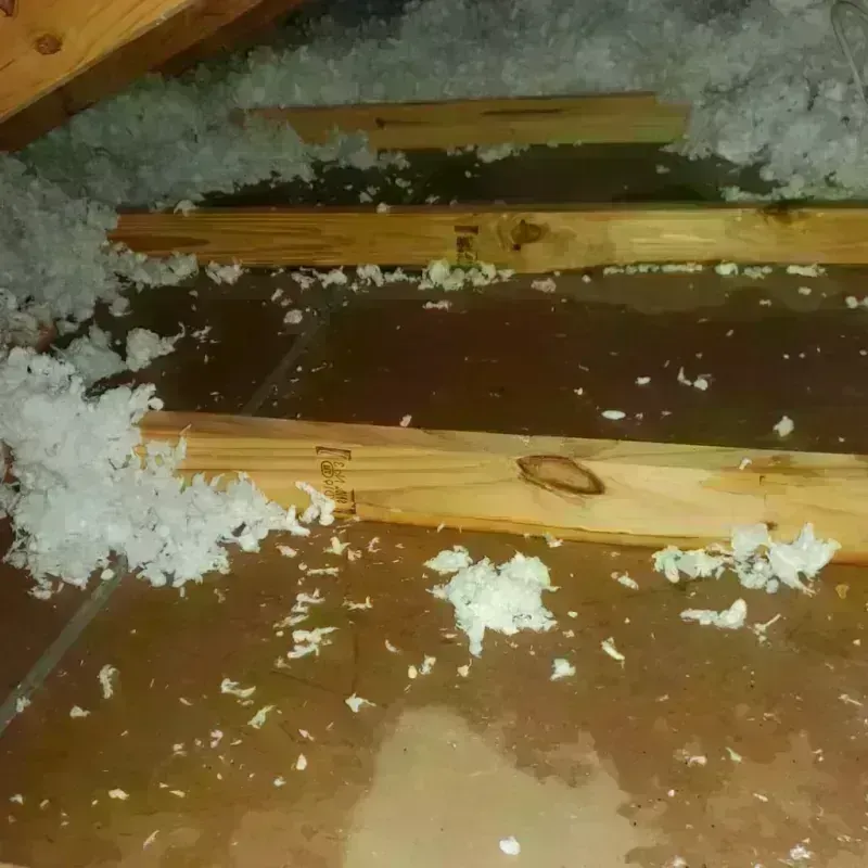 Attic Water Damage in Cherry County, NE