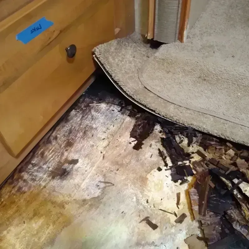 Wood Floor Water Damage in Cherry County, NE